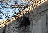 Il centro delle storie