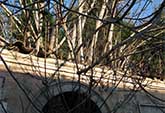 Il centro delle storie