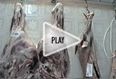 Play