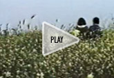 Play